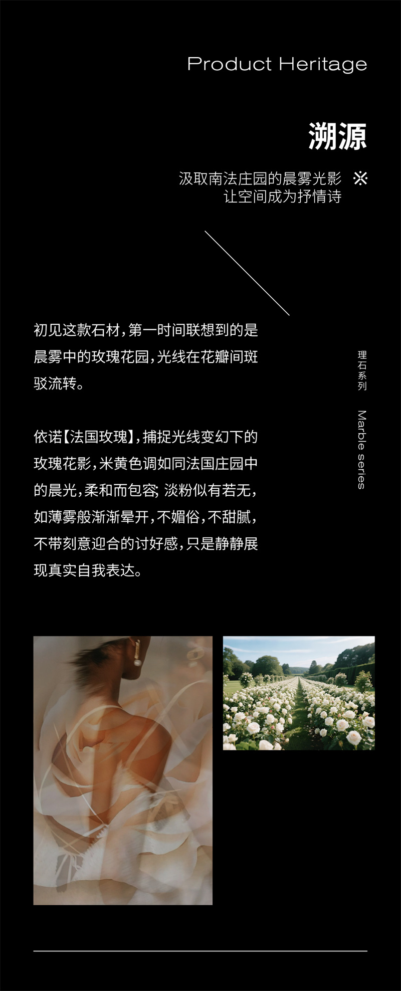 1752562394181294.jpg 法國玫瑰推文-02.jpg